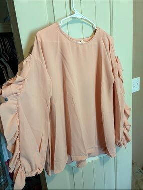 Love in Soft Blush Ruffle-Sleeve Blouse